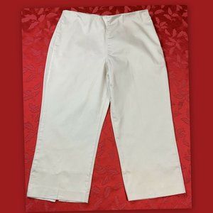 STYLE & CO. Petite Size 12P Beige Sheen Flat Front Side Zip Dress Capris Pants